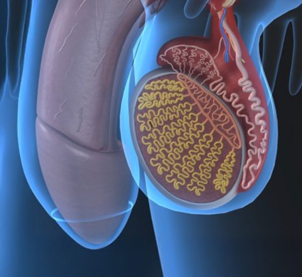 Vasectomy Singapore2